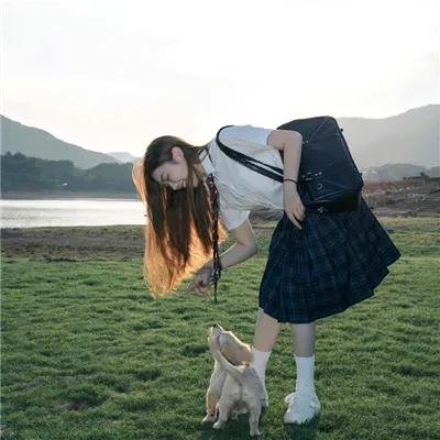 冰狗任务
